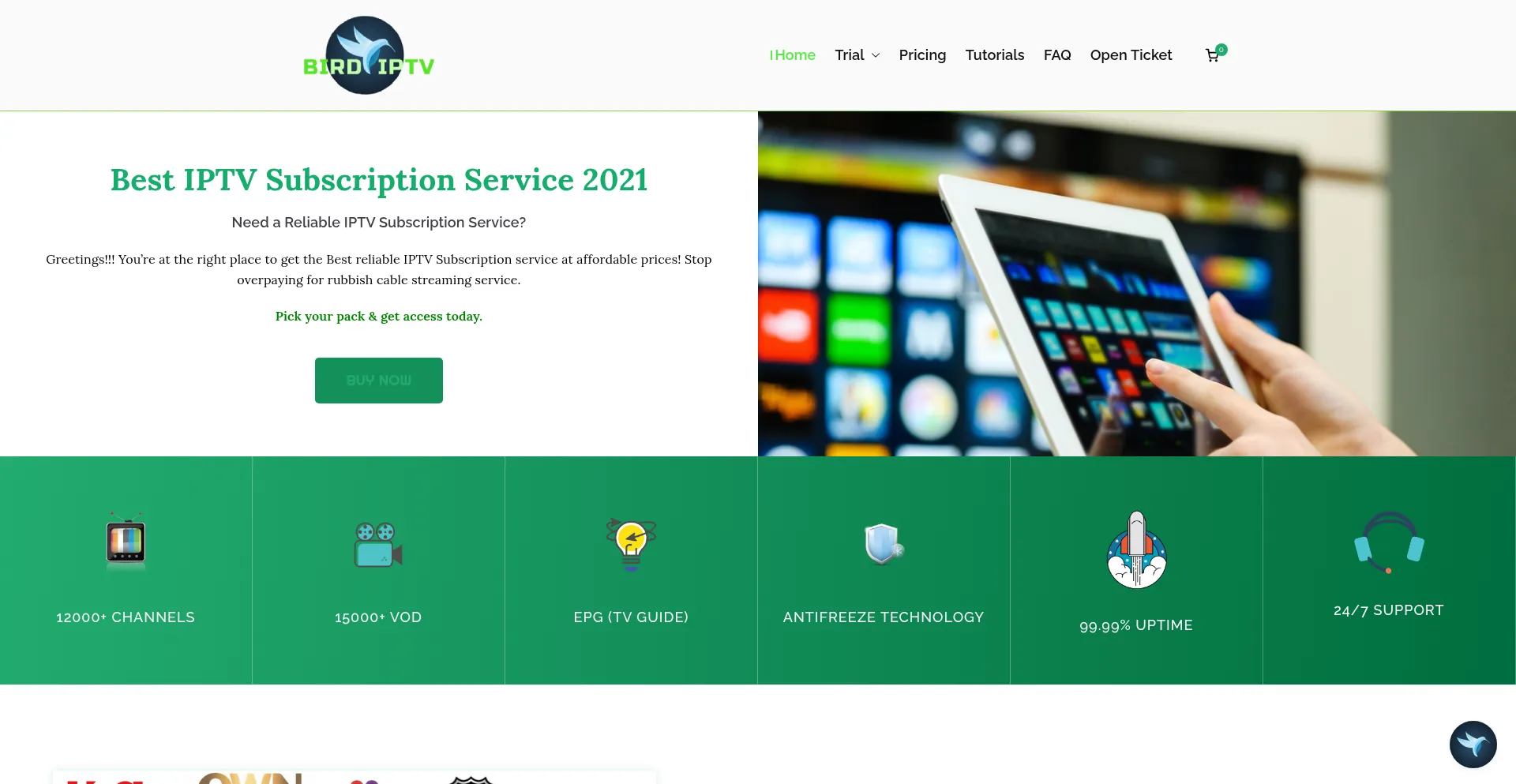 Website screenshot of Birdiptv.com