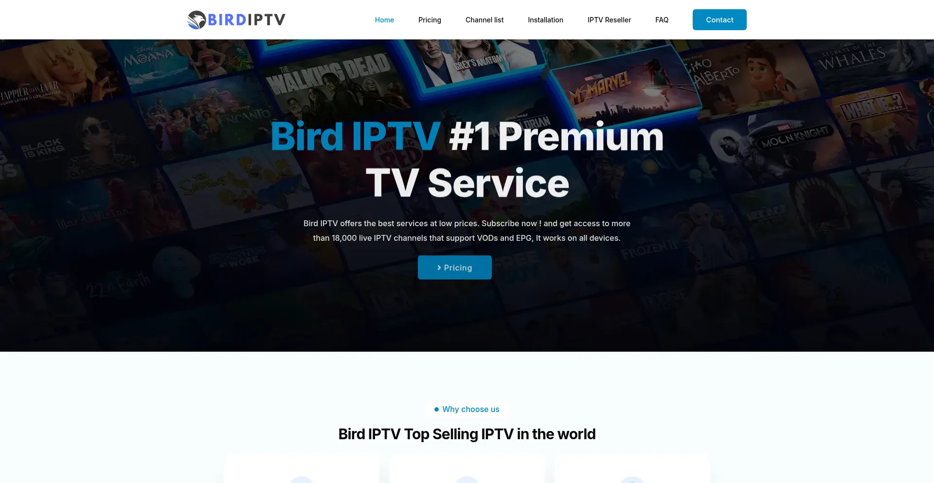 Birdiptv.net