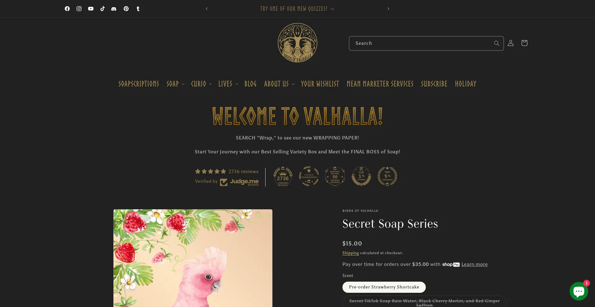 Website screenshot of Birdsofvalhalla.com