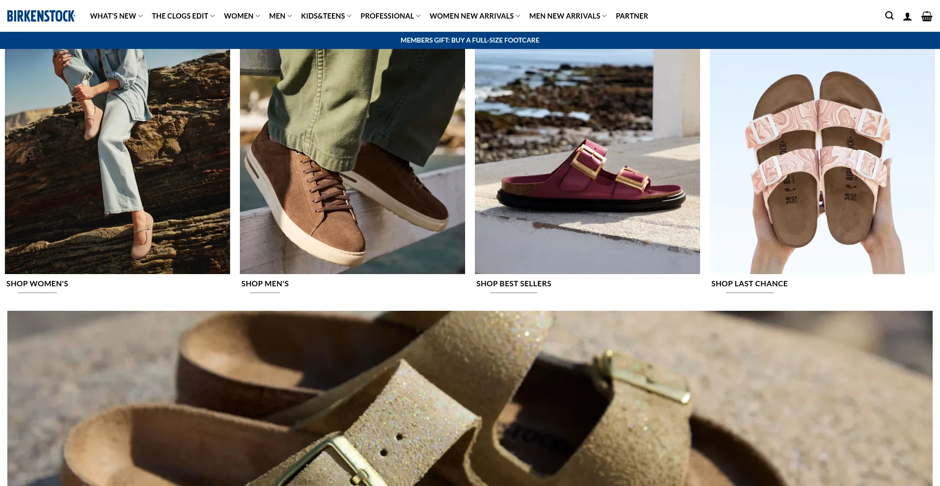 Website screenshot of Birkenstocky.com