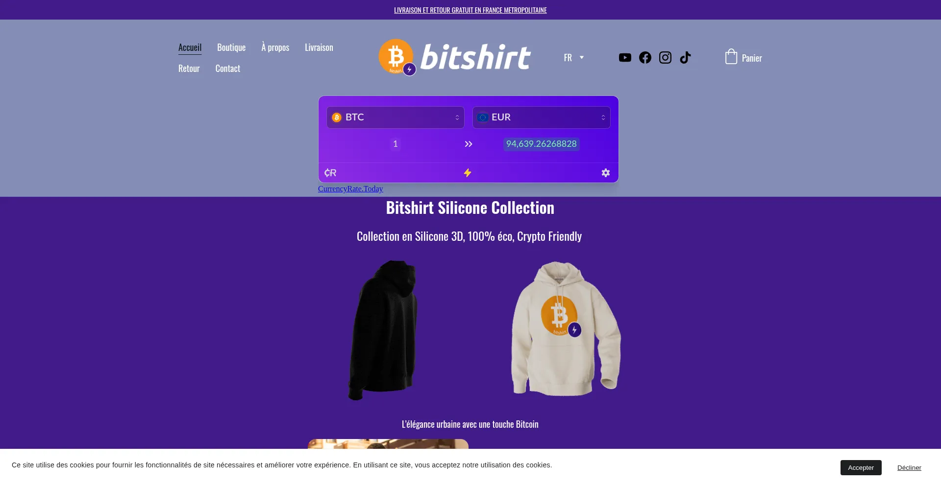 Website screenshot of Bitshirt.net