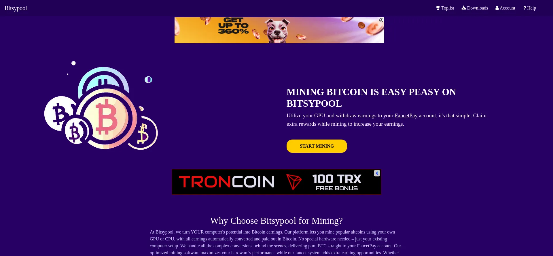 Website screenshot of Bitsypool.com