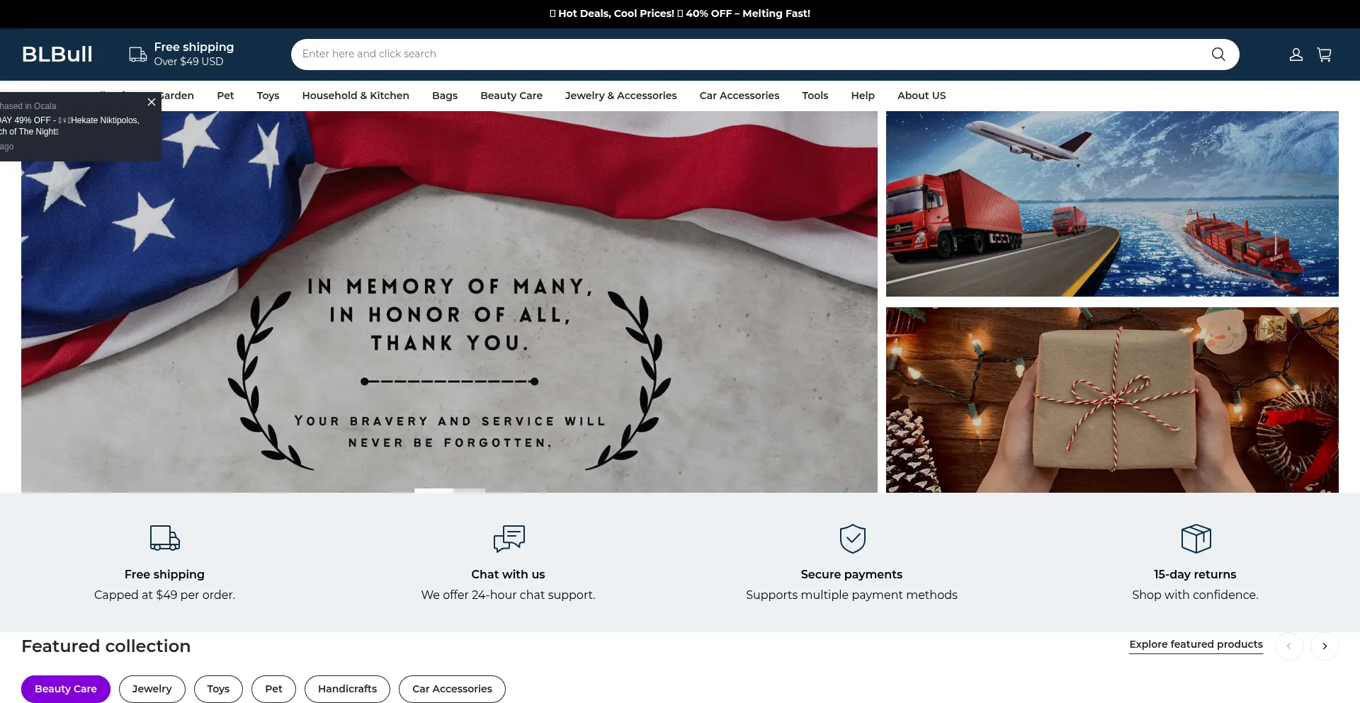 Website screenshot of Blbull.com