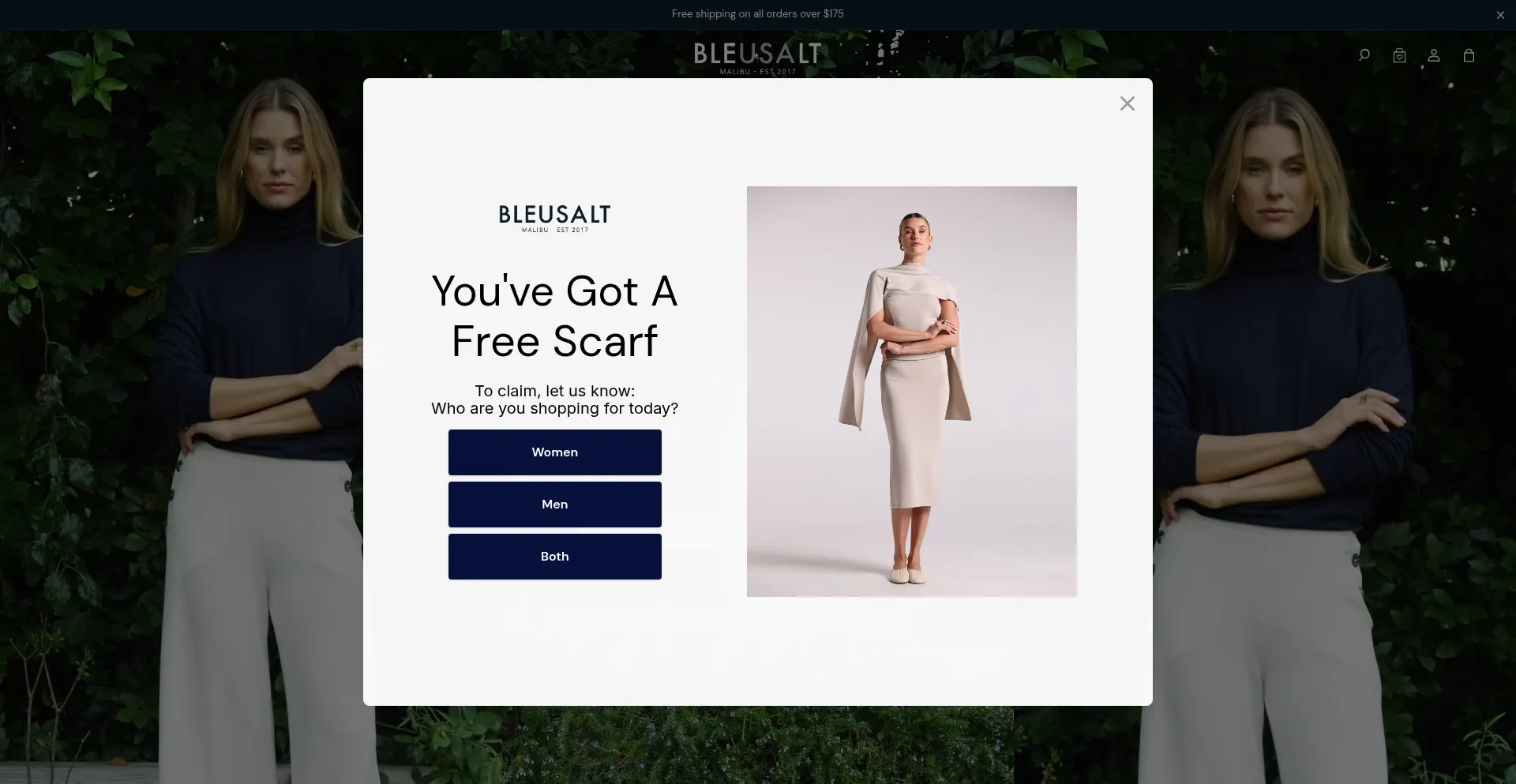Bleusalt.com