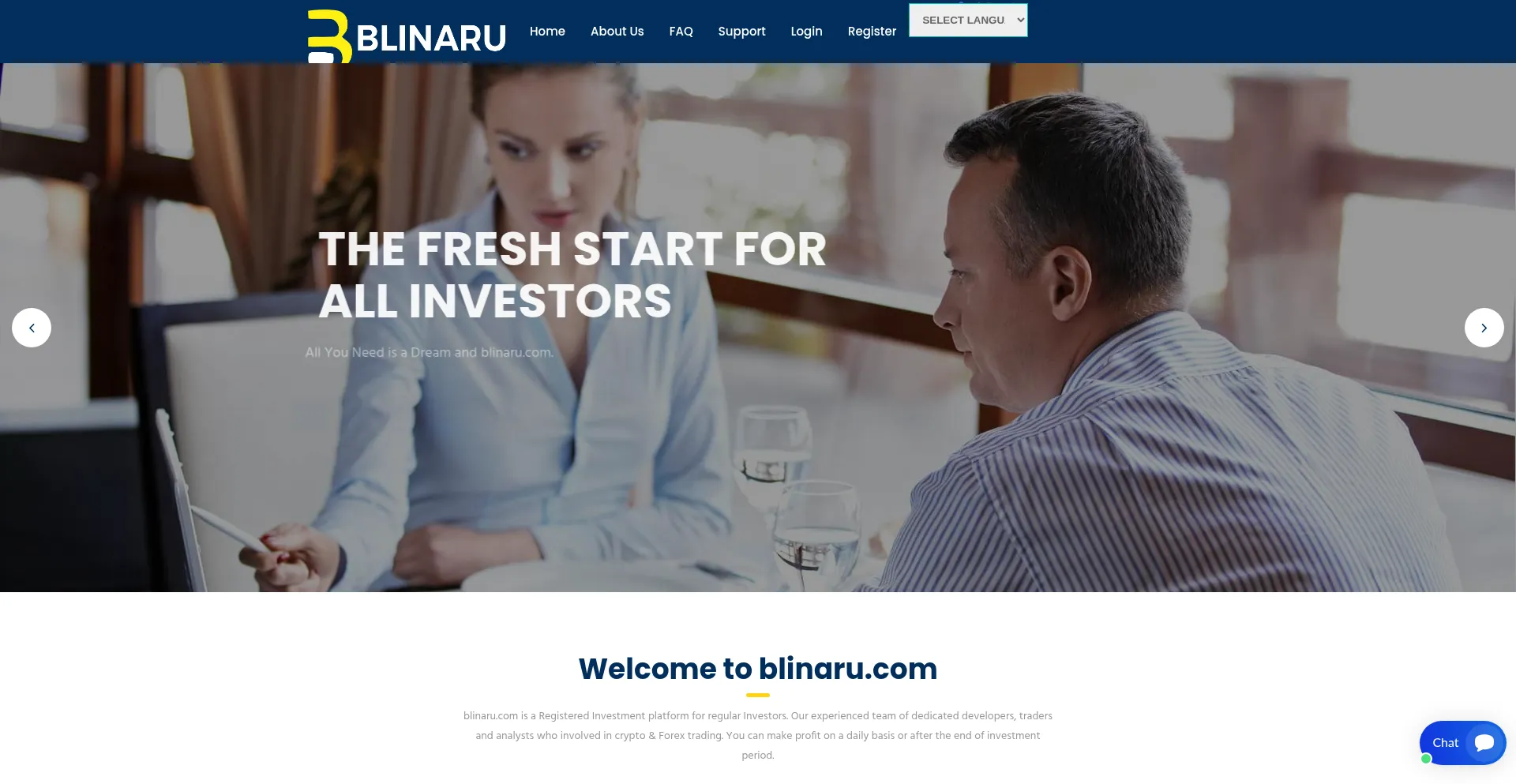 Website screenshot of Blinaru.com