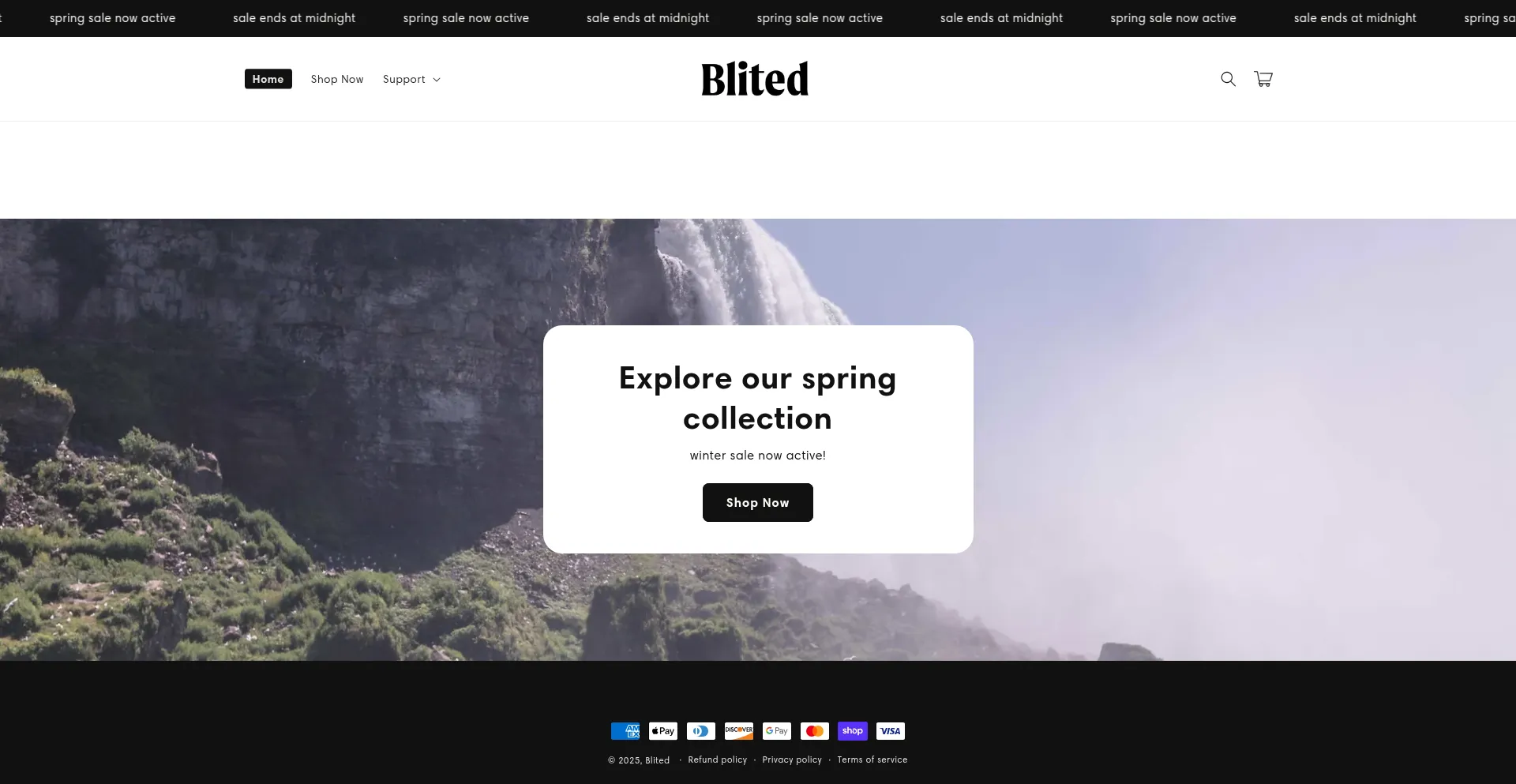 Website screenshot of Blited.com