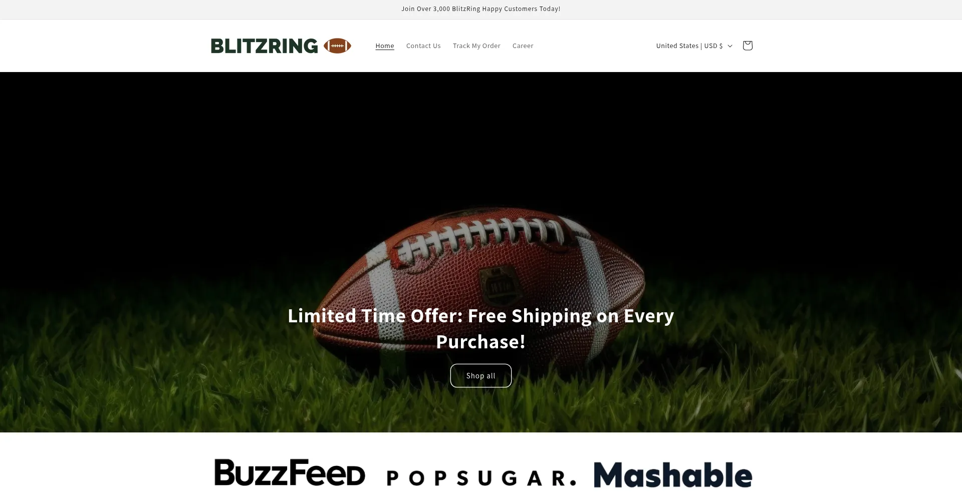 Website screenshot of Blitzring.com