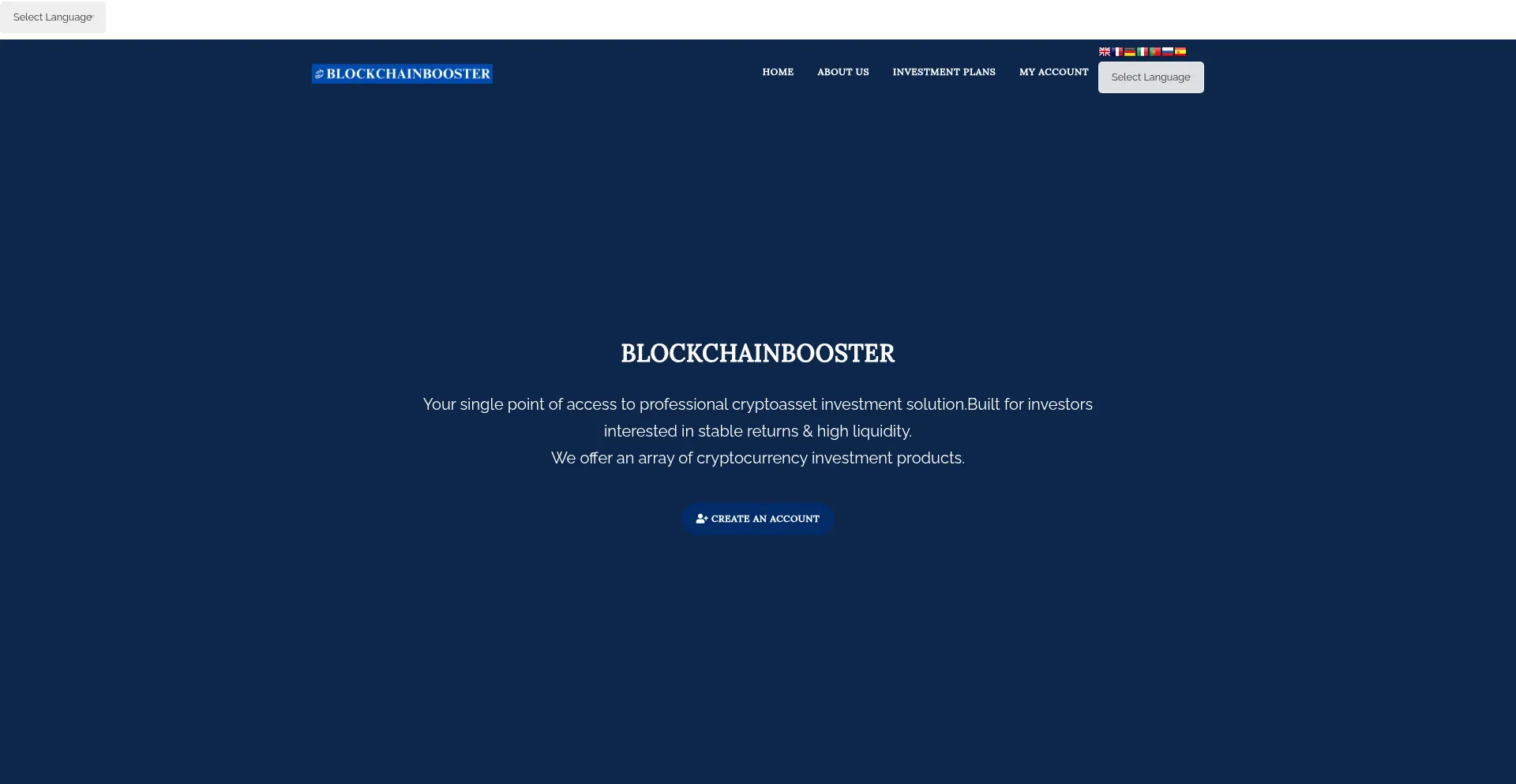 Website screenshot of Blocchainbooster.com