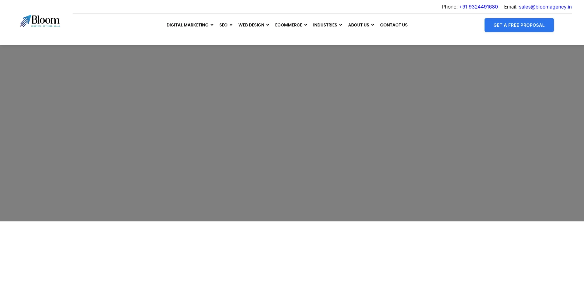 Website screenshot of Bloomagency.in