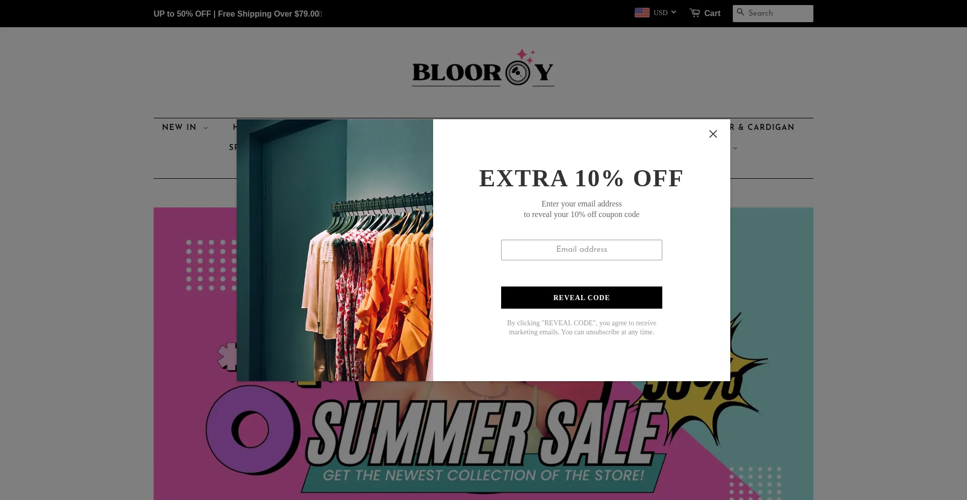 Website screenshot of Blooroy.com