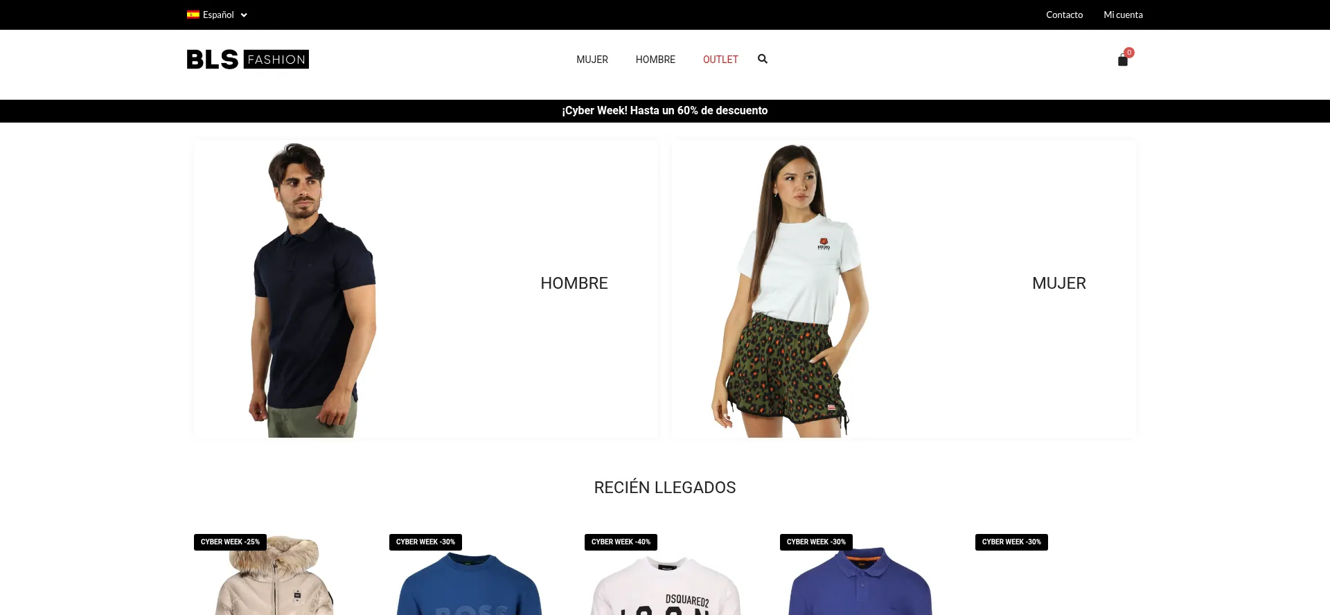 Website screenshot of Blsfashion.com