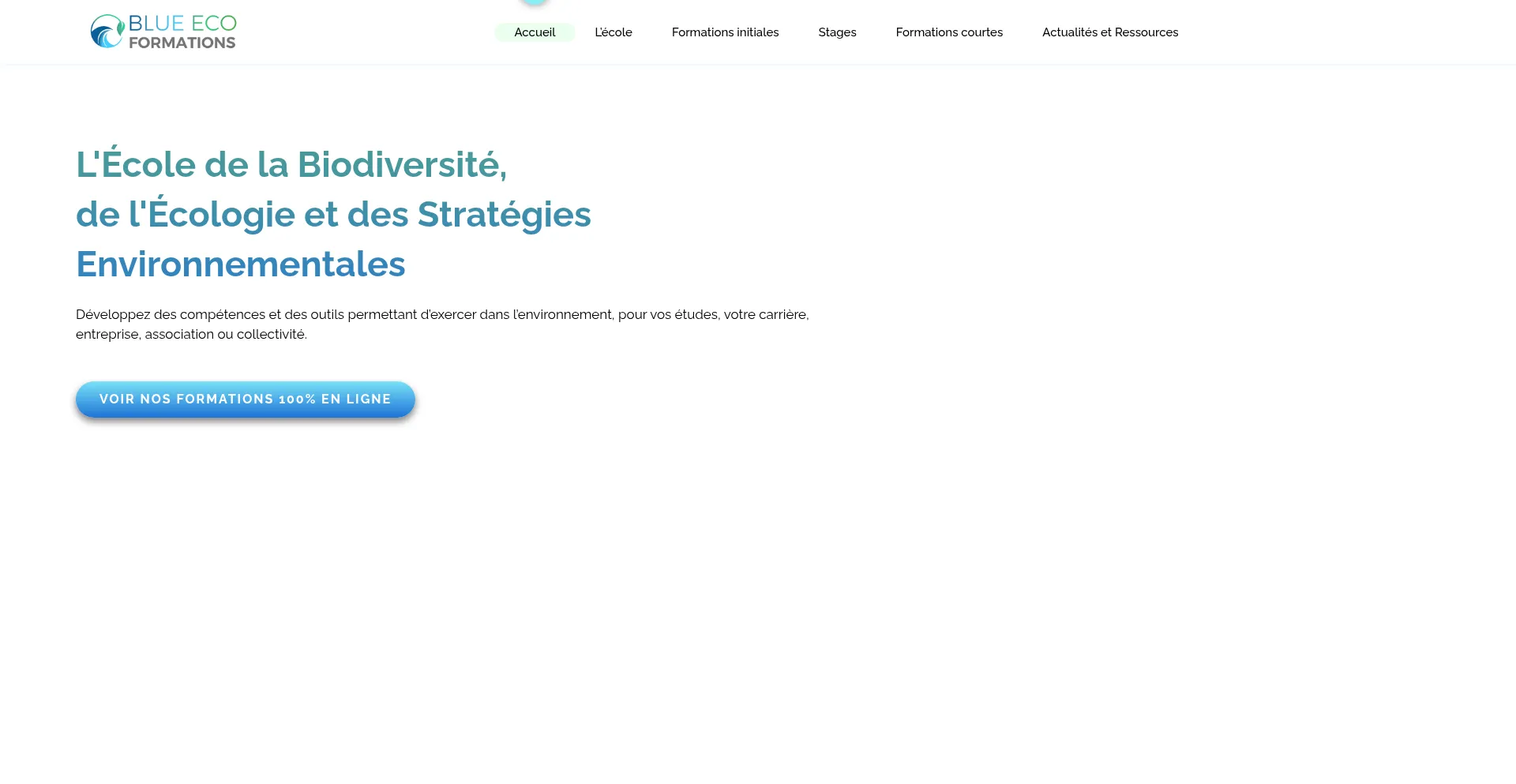 Website screenshot of Blue-eco-formations.com