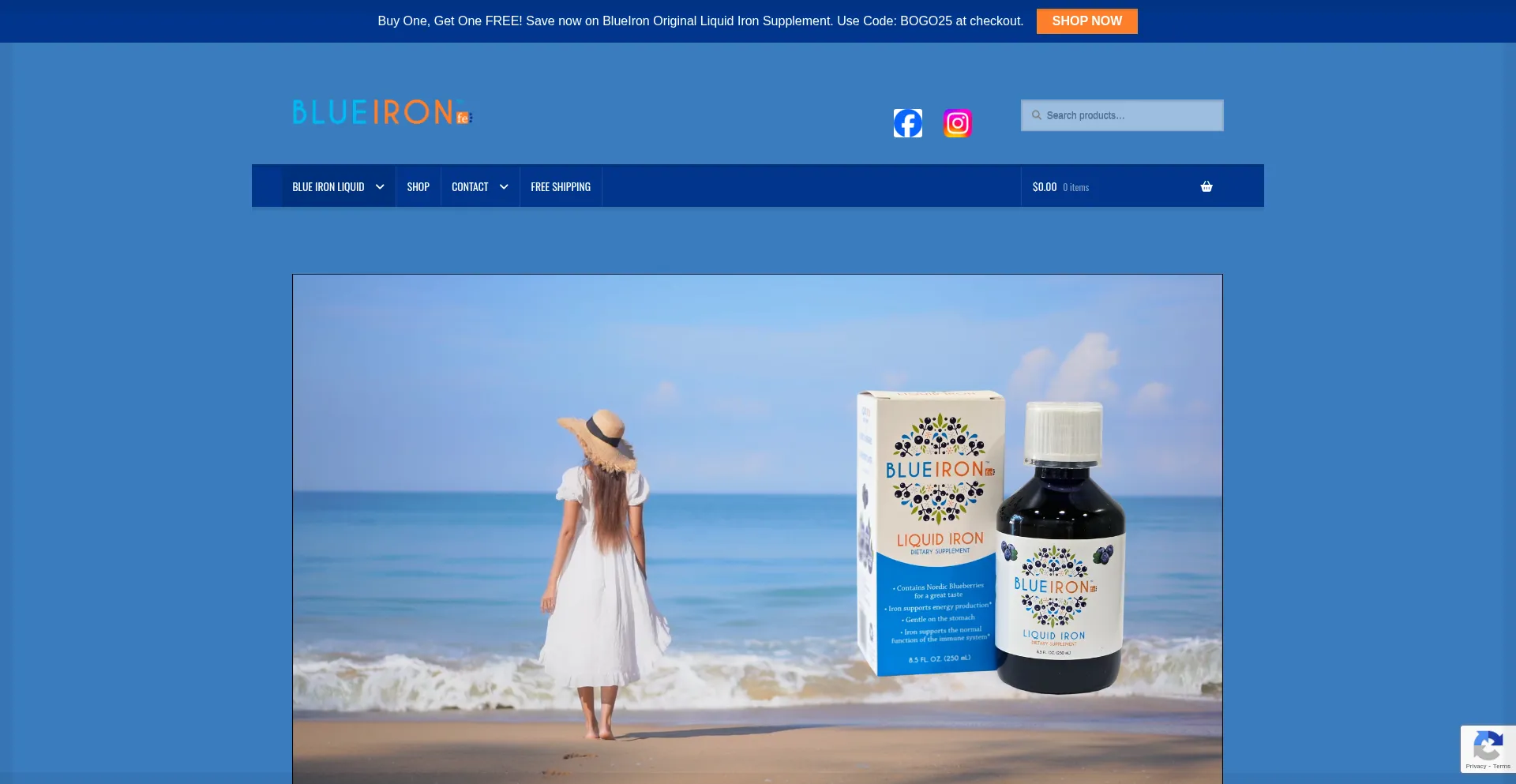 Website screenshot of Blue-iron.co