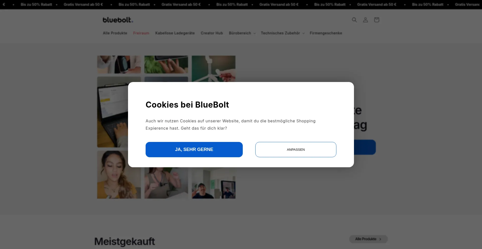 Blueboltchargers.de