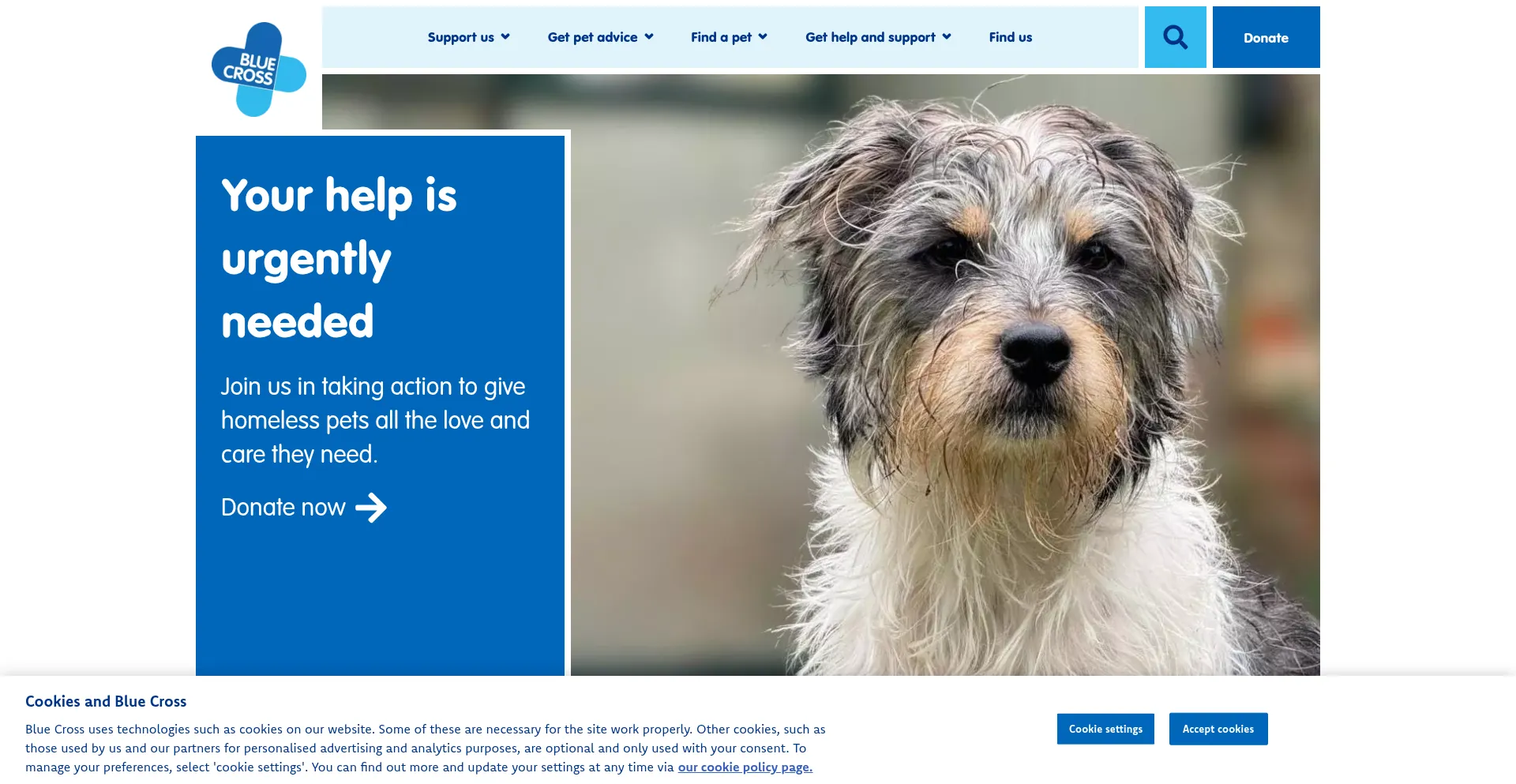 Bluecross.org.uk