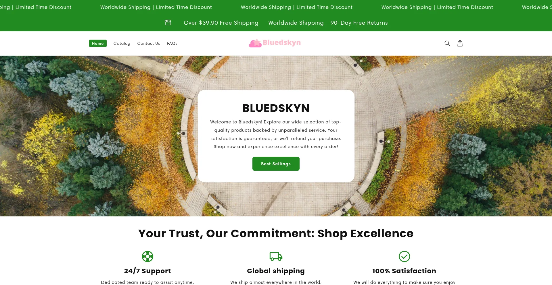 Website screenshot of Bluedskyn.com