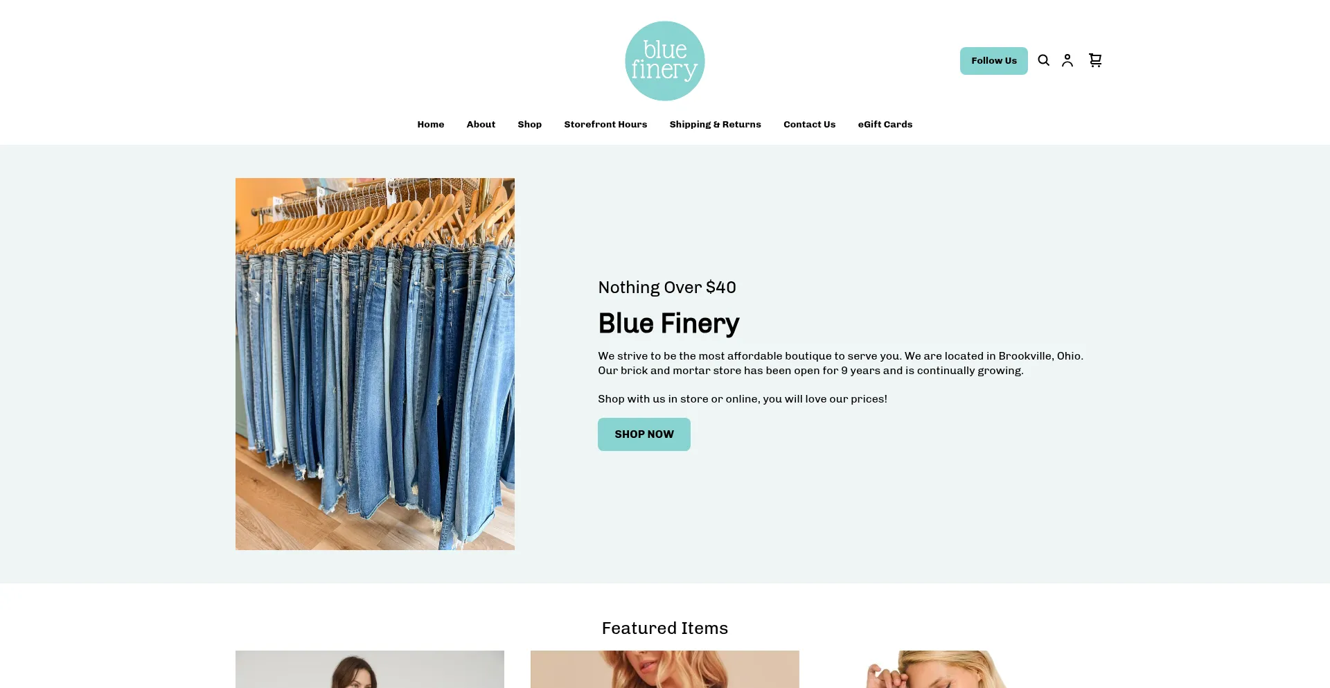 Website screenshot of Bluefinery.com