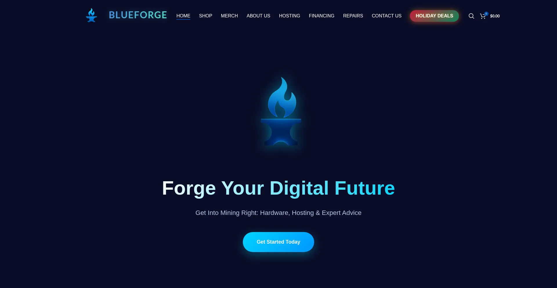 Blueforgeadvisors.io