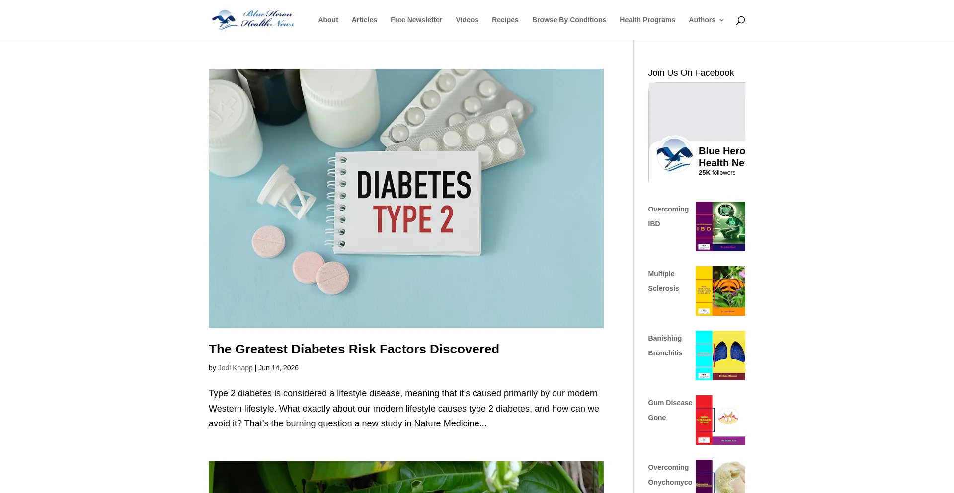 Blueheronhealthnews.com