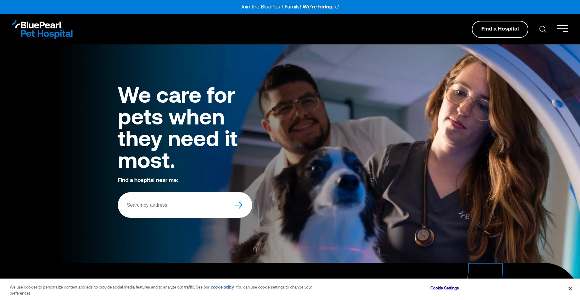 Bluepearlvet.com