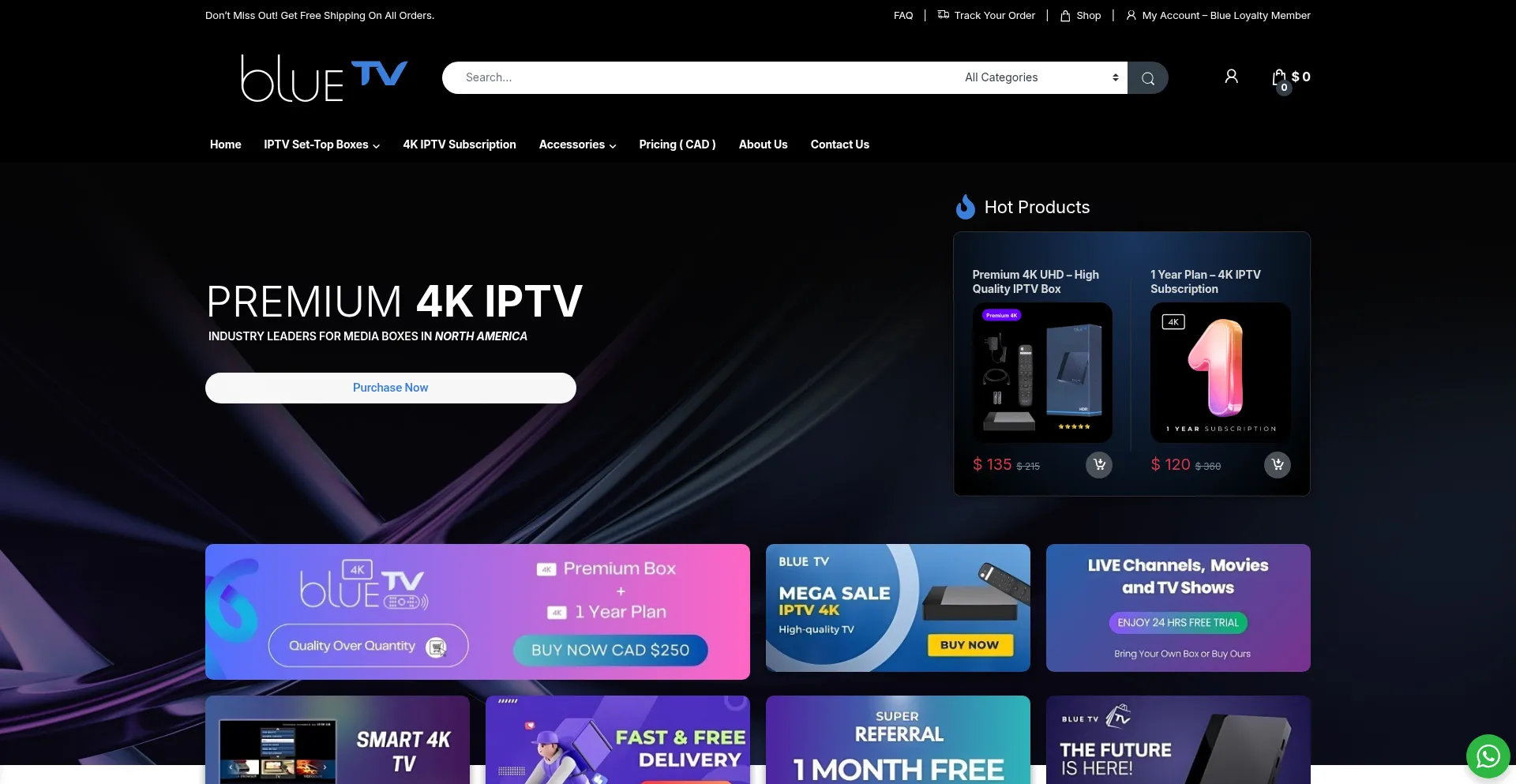 Website screenshot of Bluetv.ca