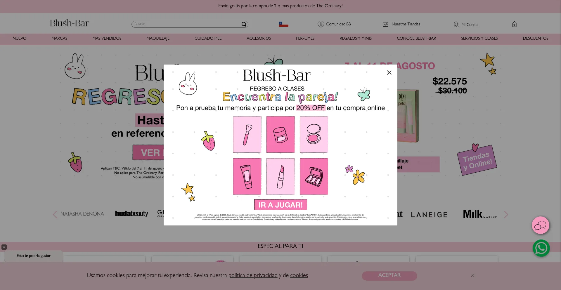 Website screenshot of Blush-bar.cl