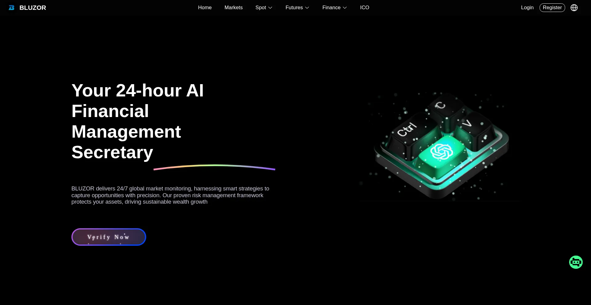 Website screenshot of Bluzor.net