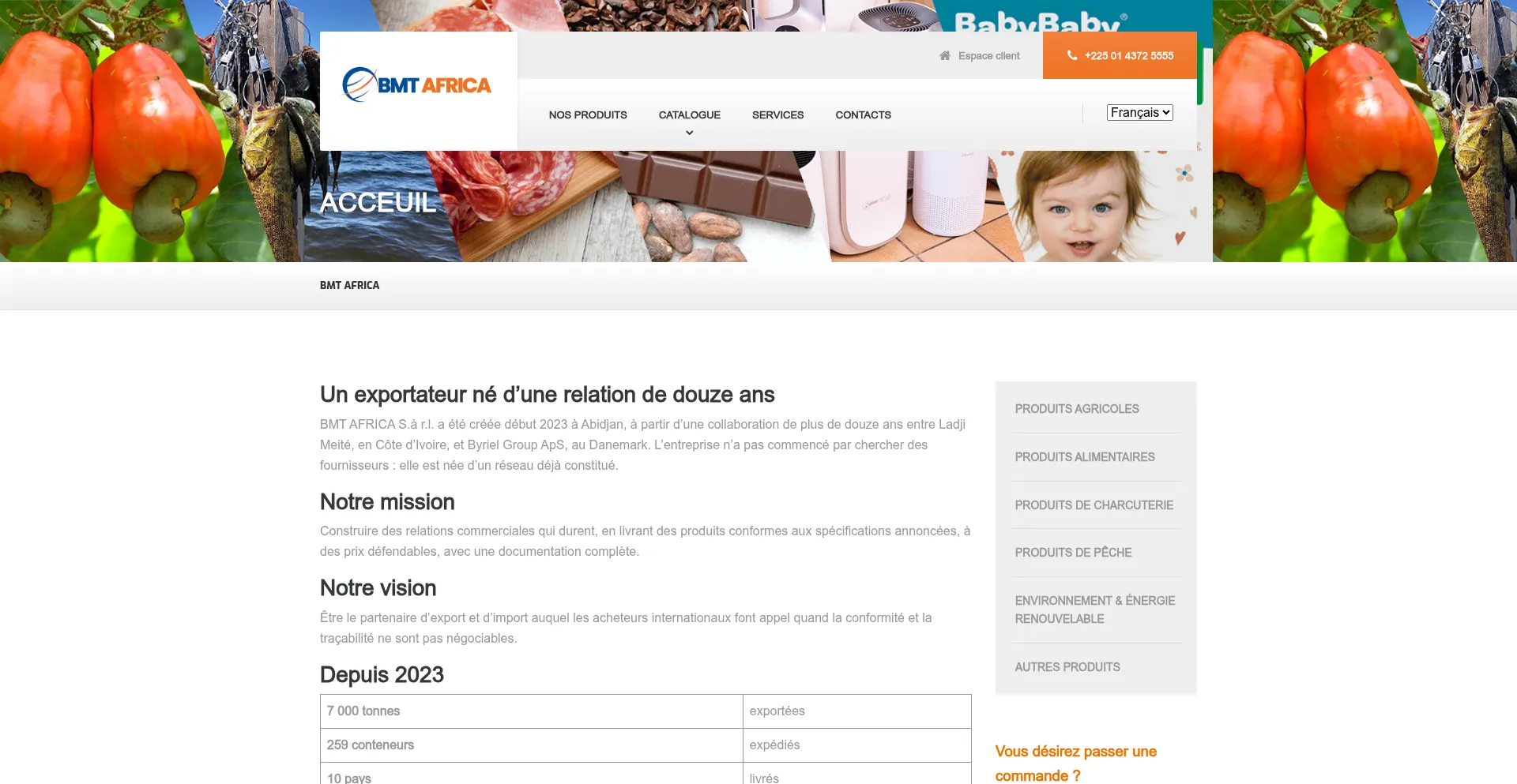 Bmt-africa.com