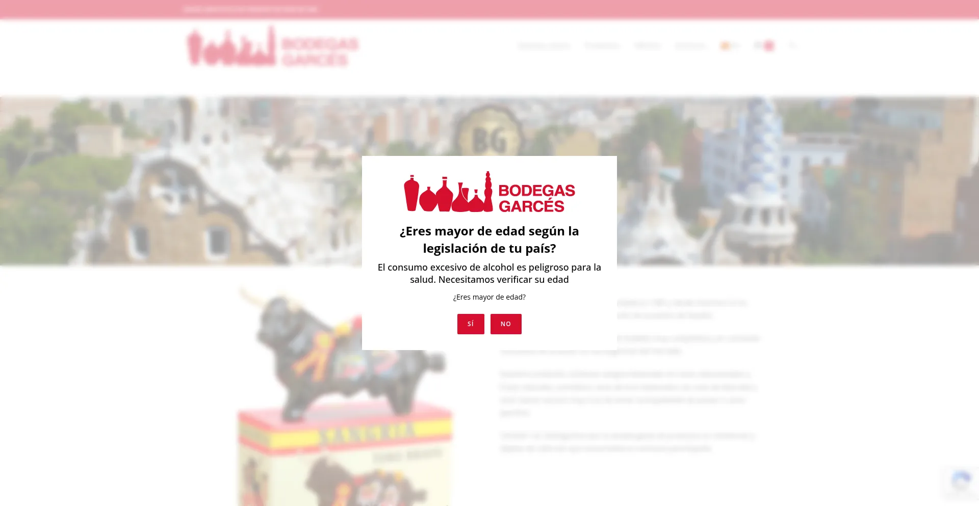 Website screenshot of Bodegasgarces.com