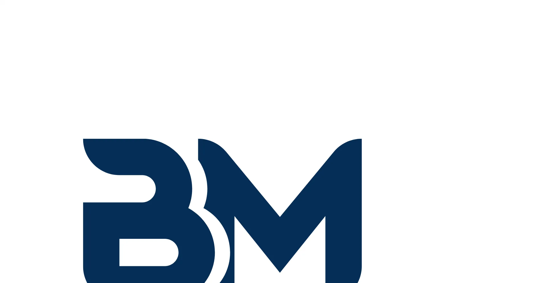 Website screenshot of Bol-masters.nl