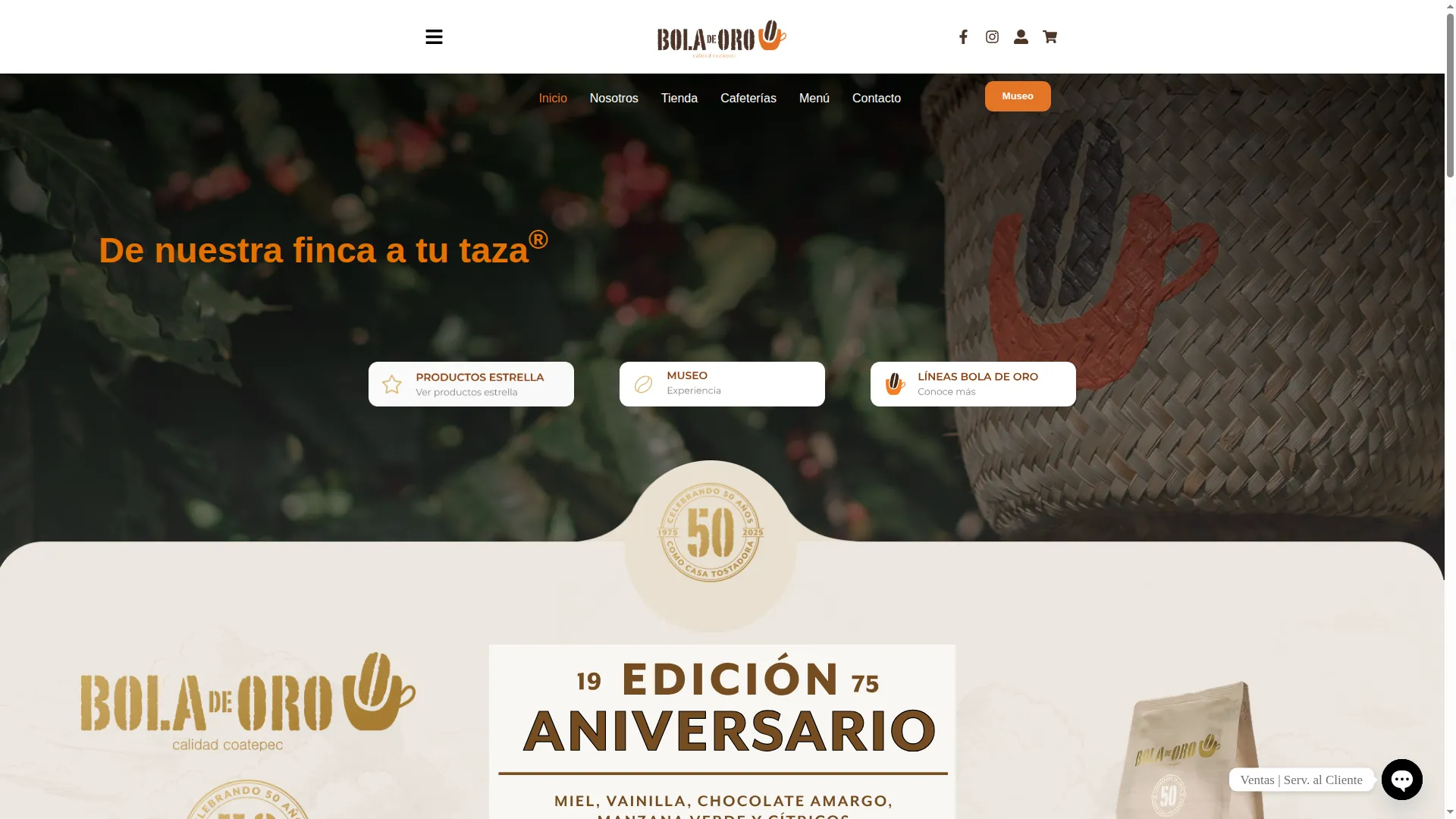 Boladeoro.com.mx