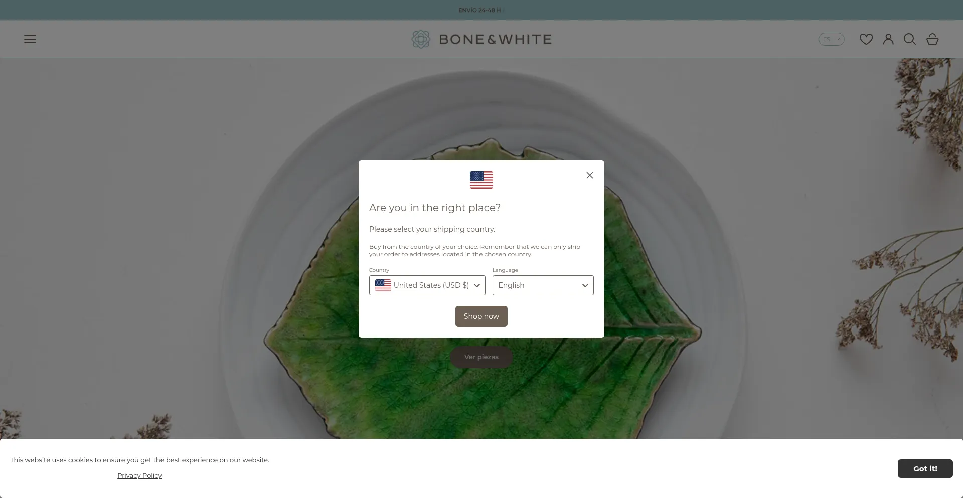 Boneandwhite.com