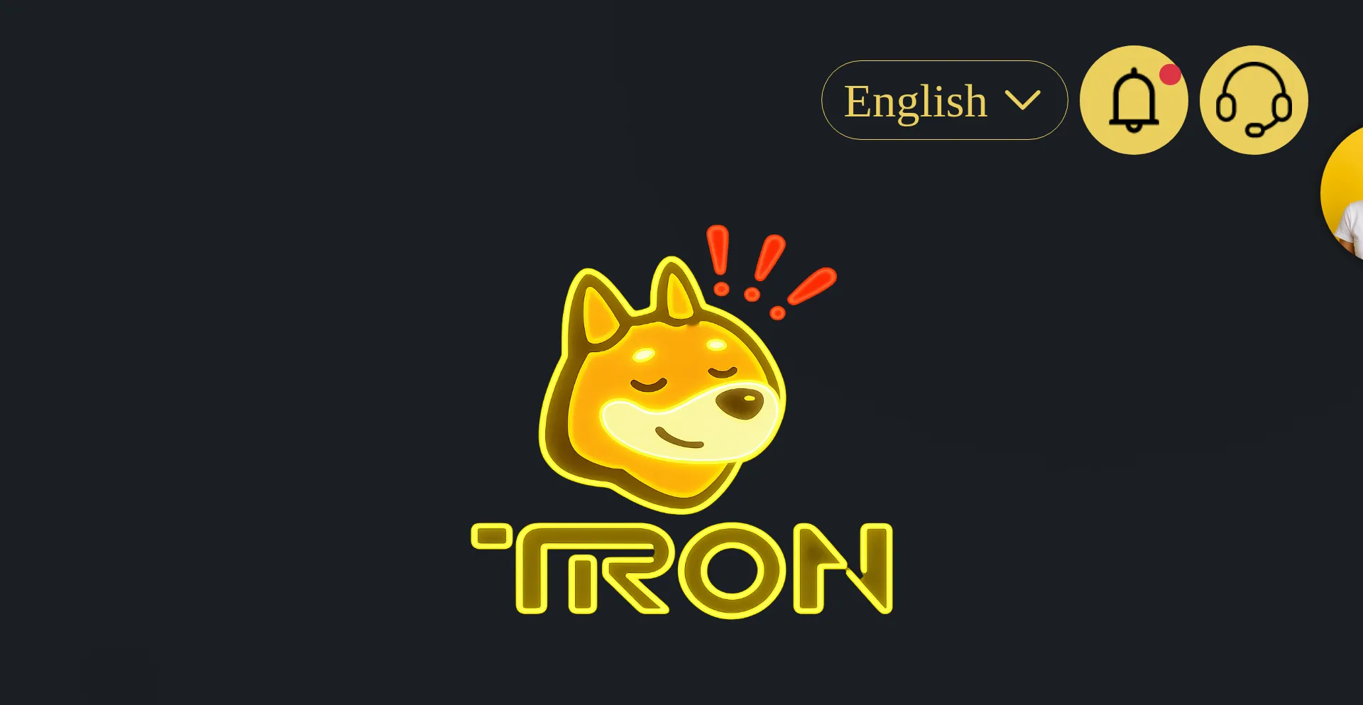 Website screenshot of Bonktron.lat