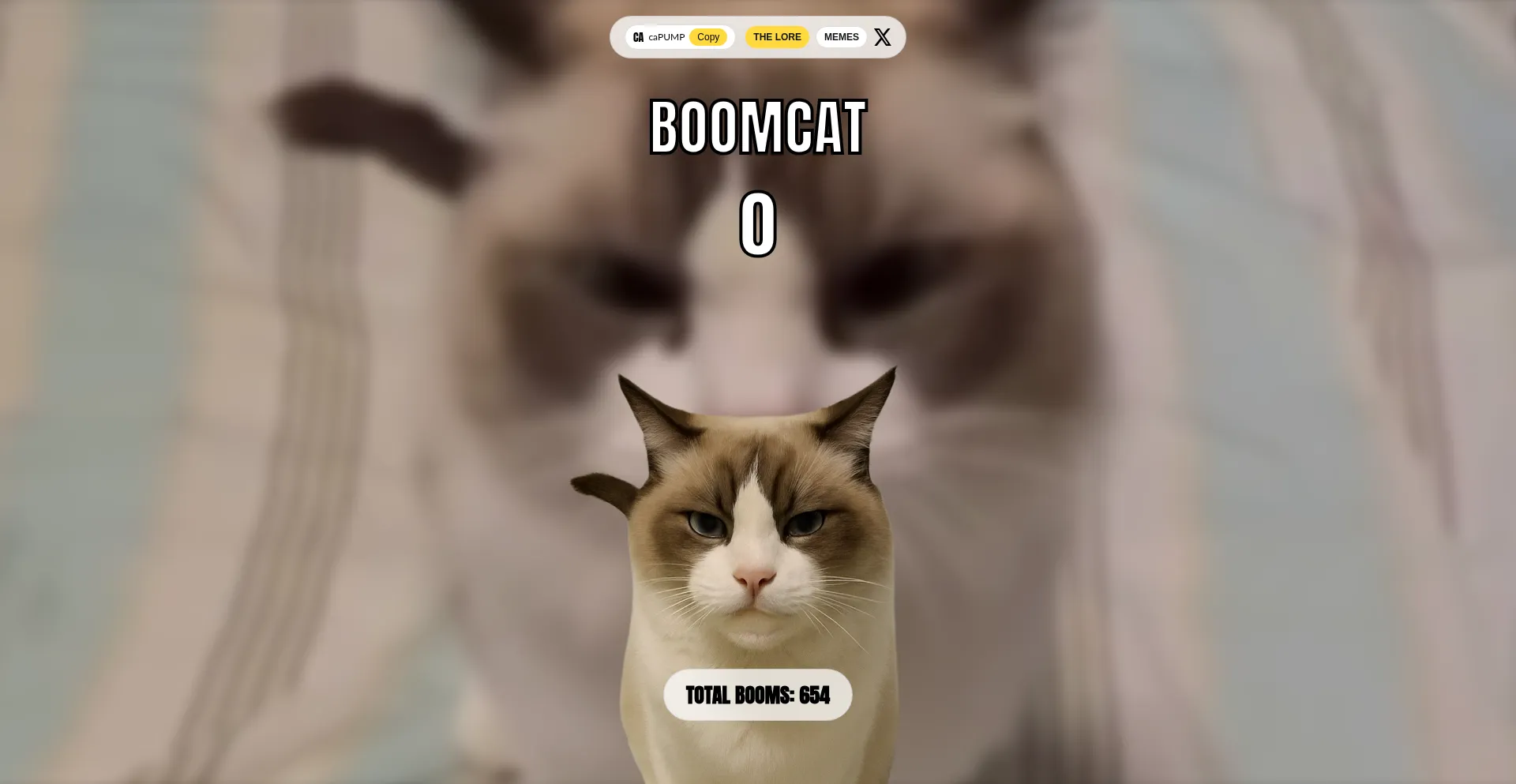 Boomcat.org