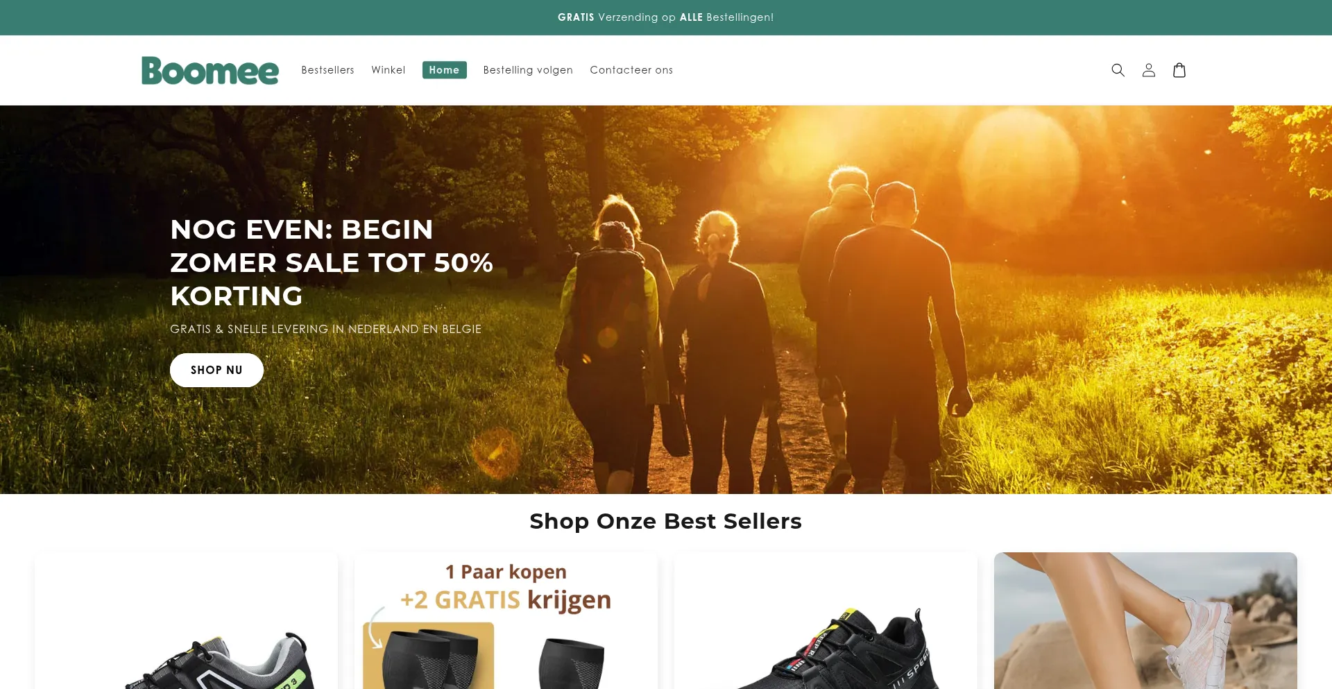Website screenshot of Boomee.nl