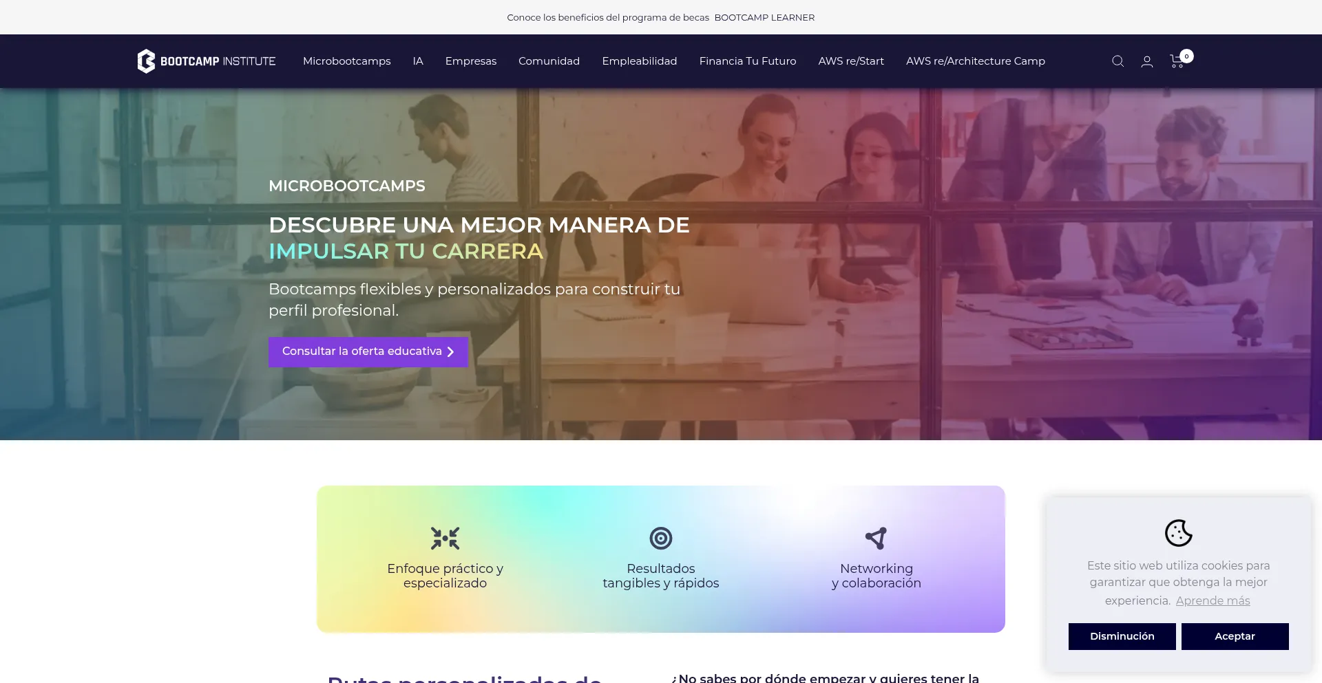 Website screenshot of Bootcamp-institute.com