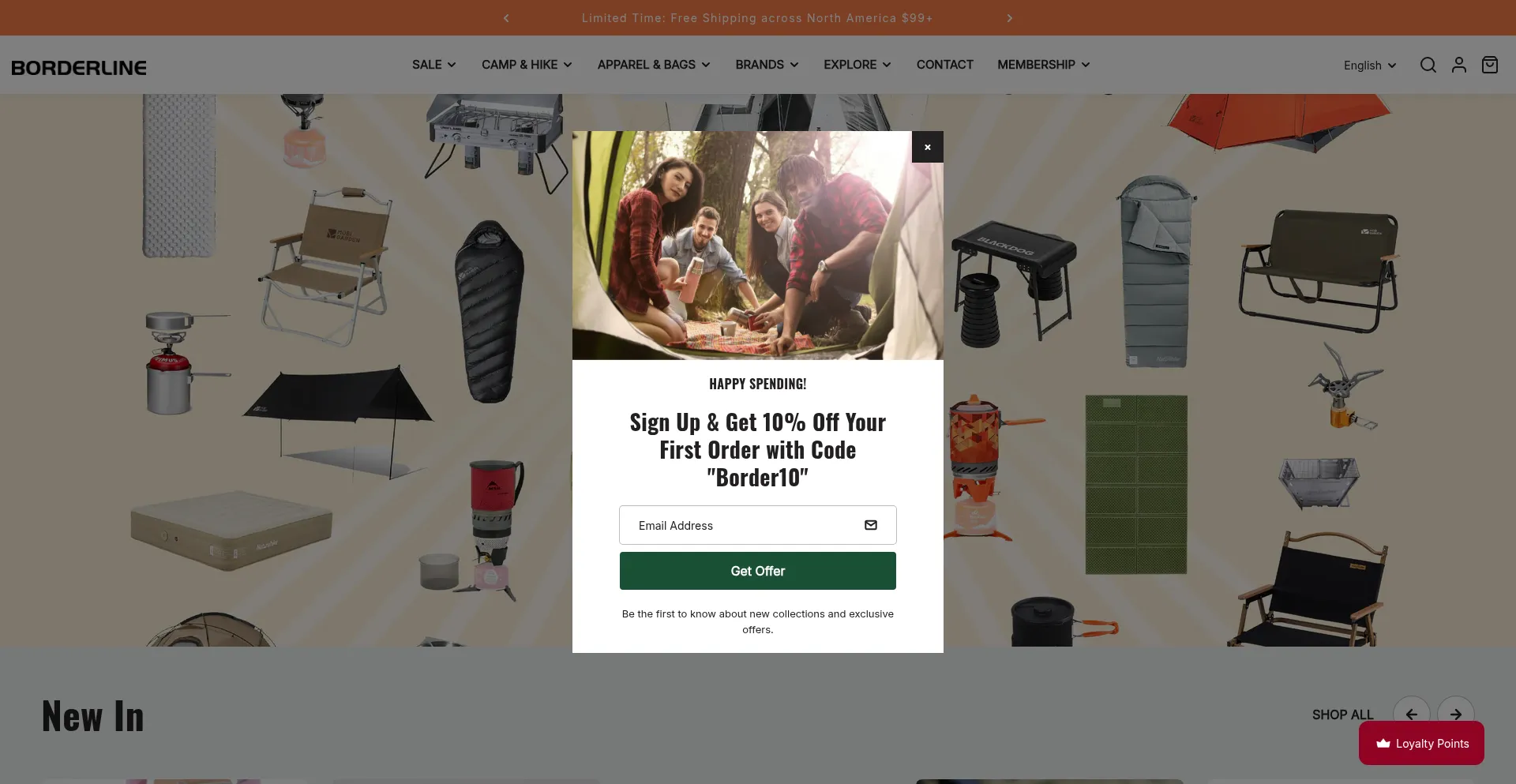 Website screenshot of Borderlinestore.ca