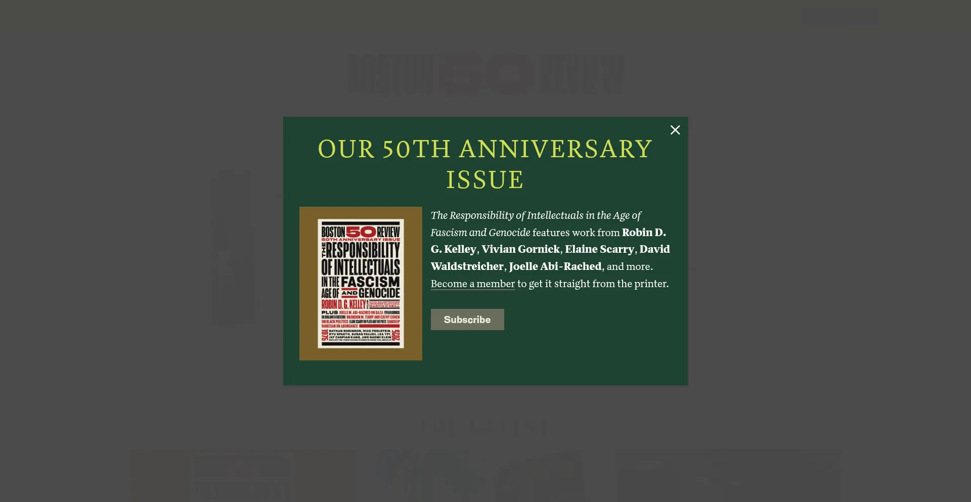 Website screenshot of Bostonreview.net