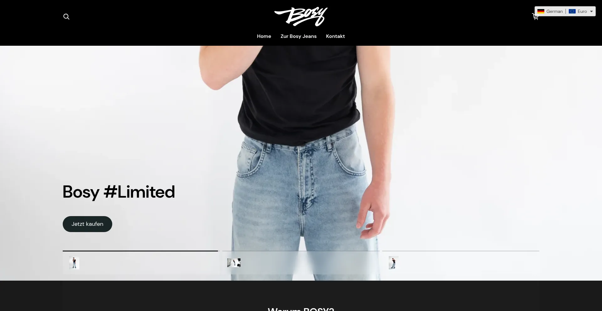 Website screenshot of Bosyclo.com