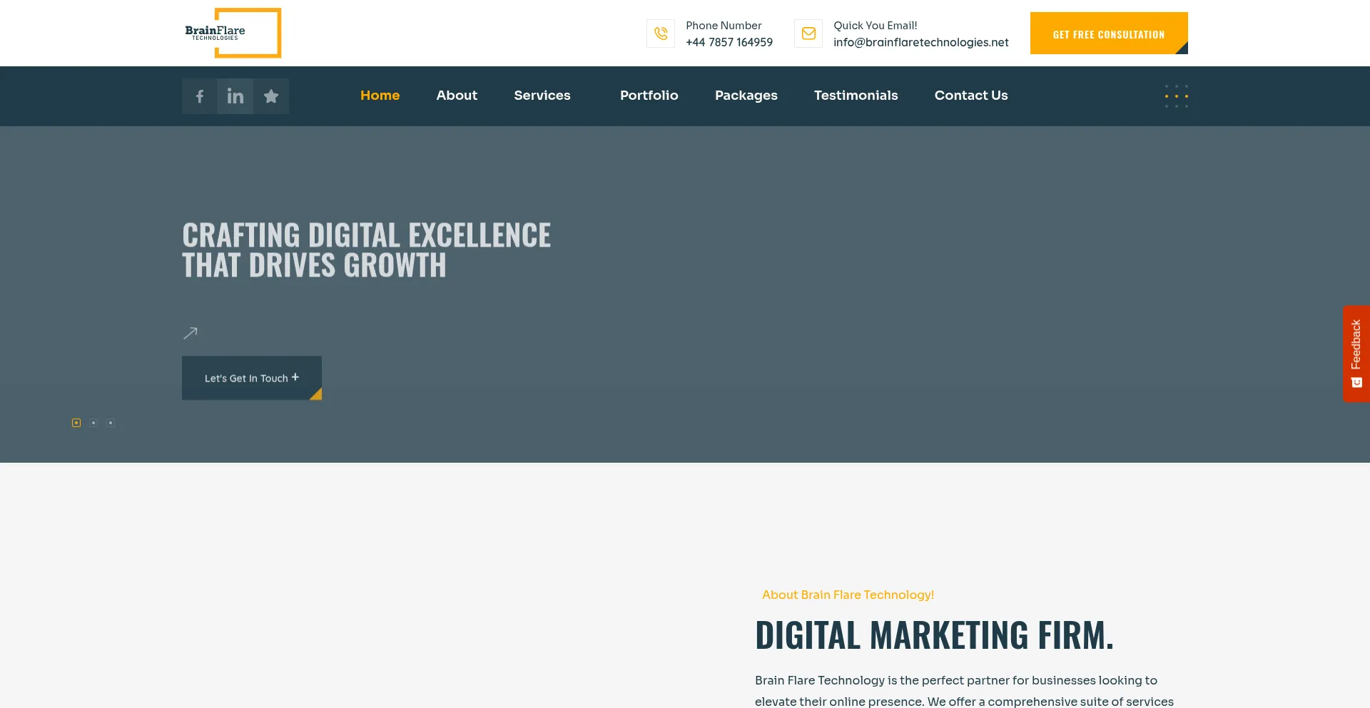 Brainflaretechnologies.net