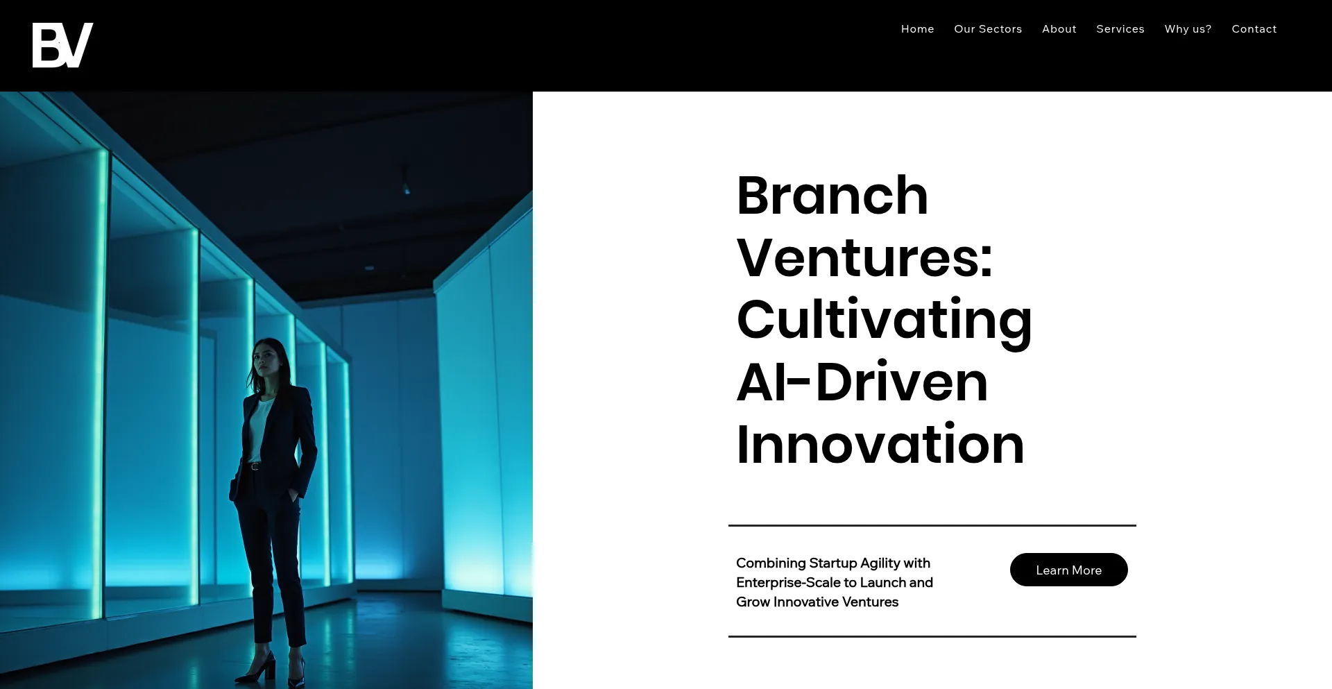 Branchventures.io