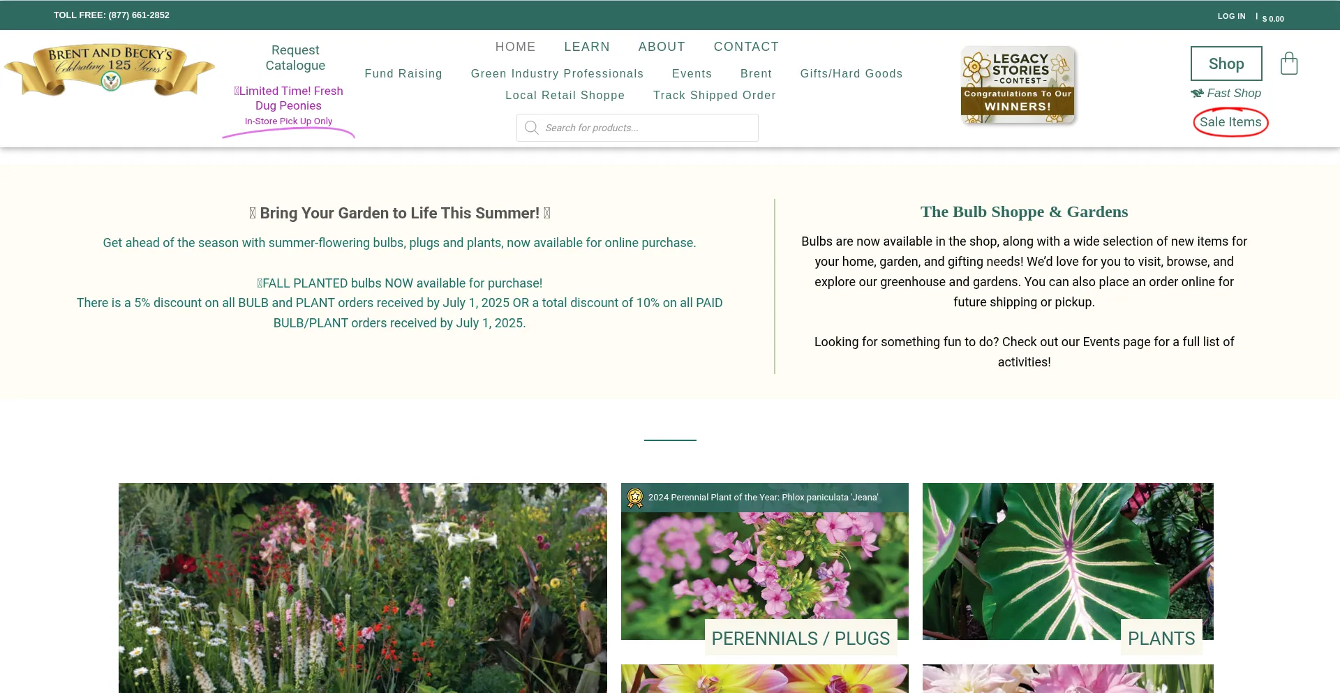 Brentandbeckysbulbs.com