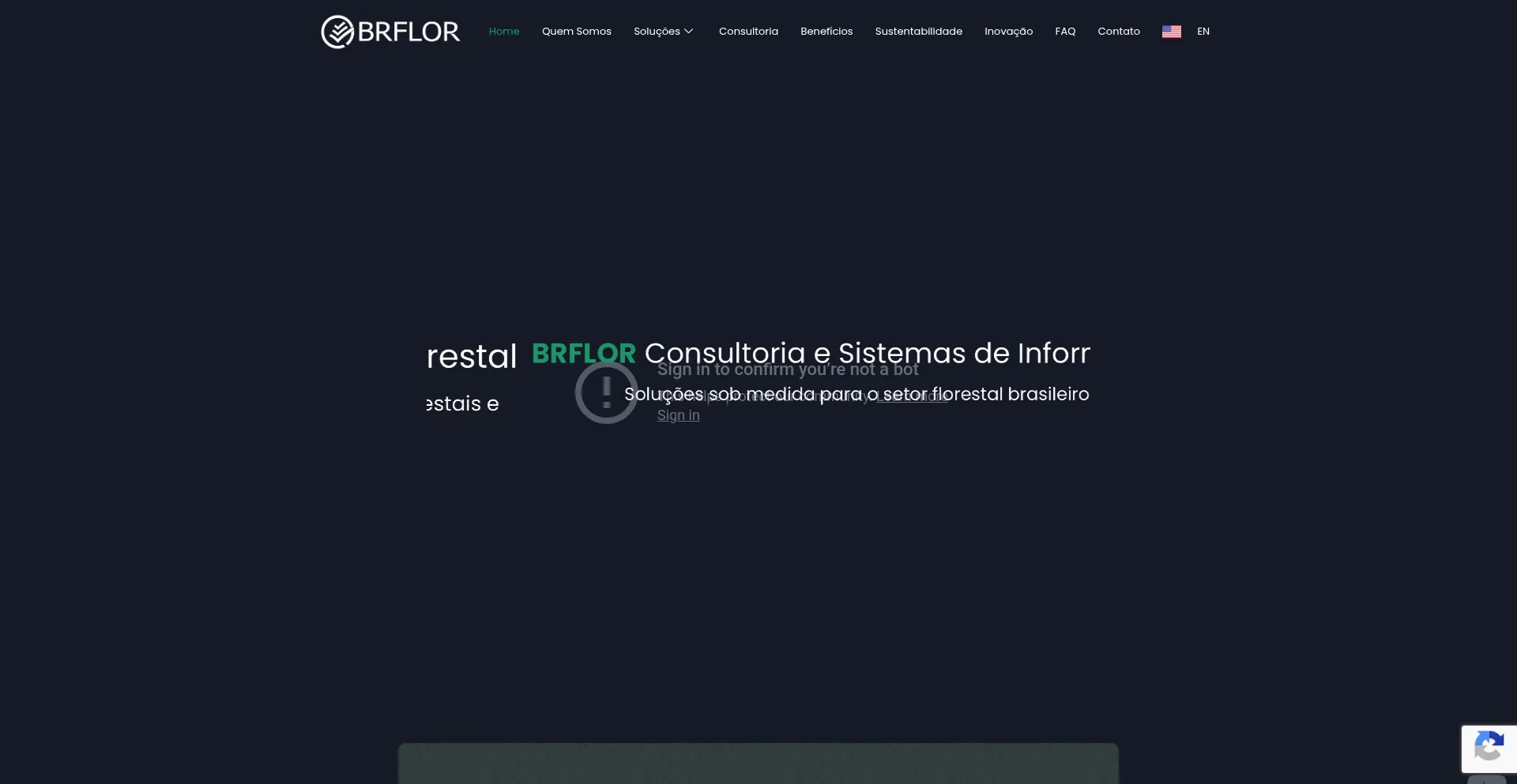 Brflor.com