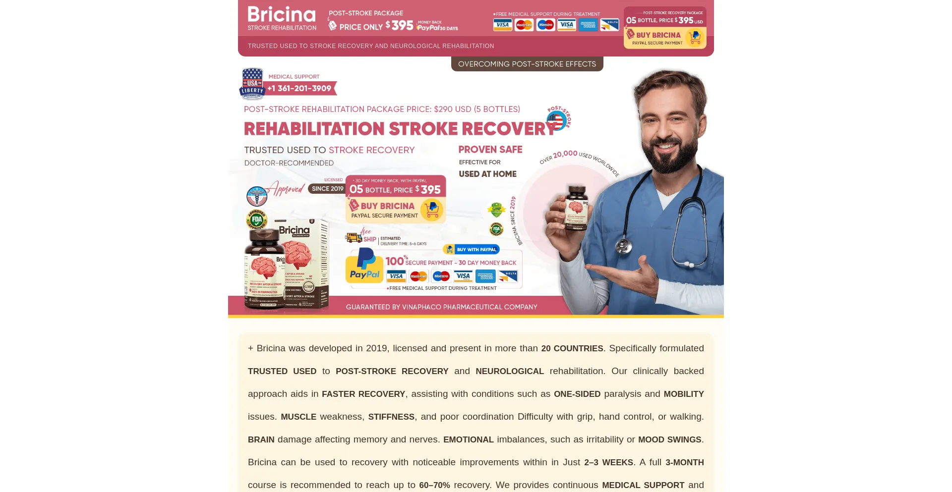 Website screenshot of Bricina.com