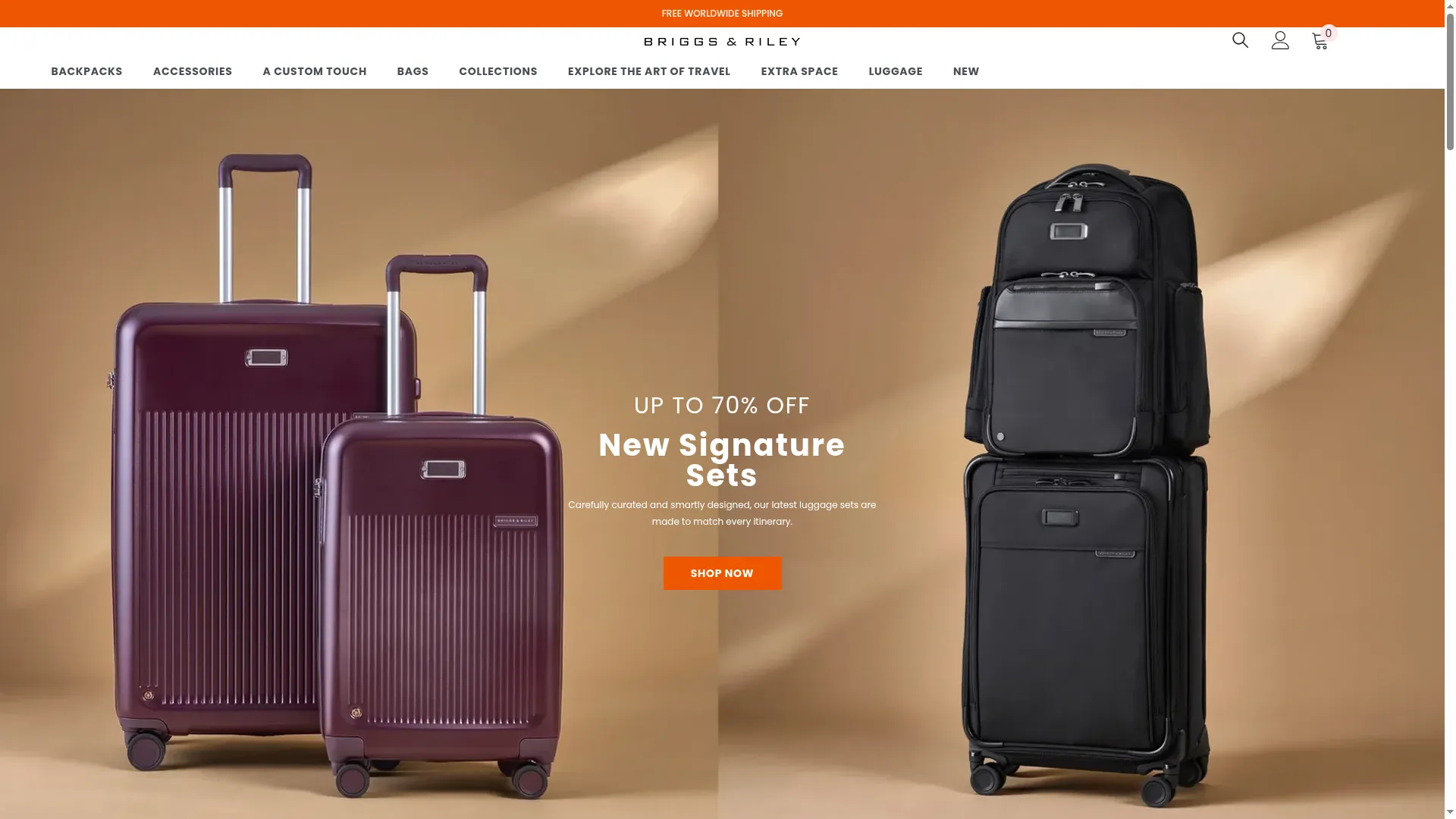 Briggs-rileyus.it.com