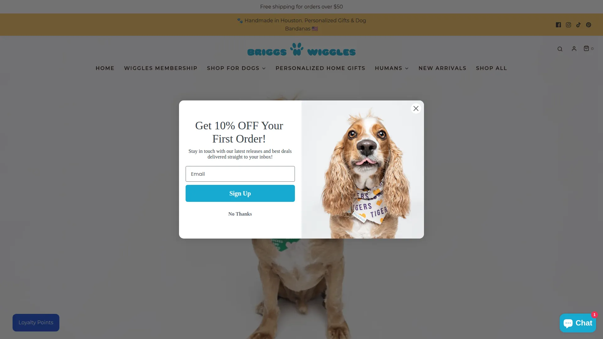 Briggsnwiggles.com