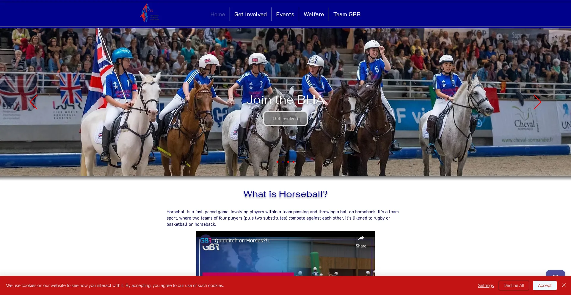 Website screenshot of Britishhorseball.com