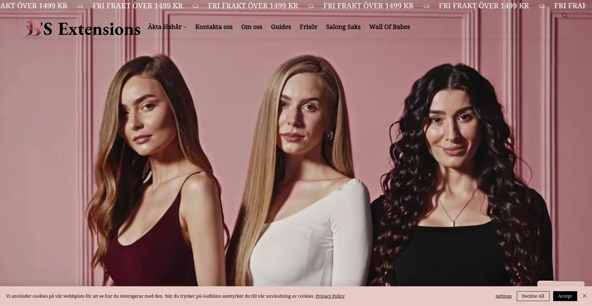 Website screenshot of Bsextensions.com