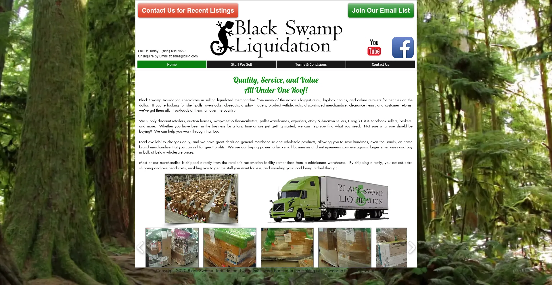 Website screenshot of Bsliq.com