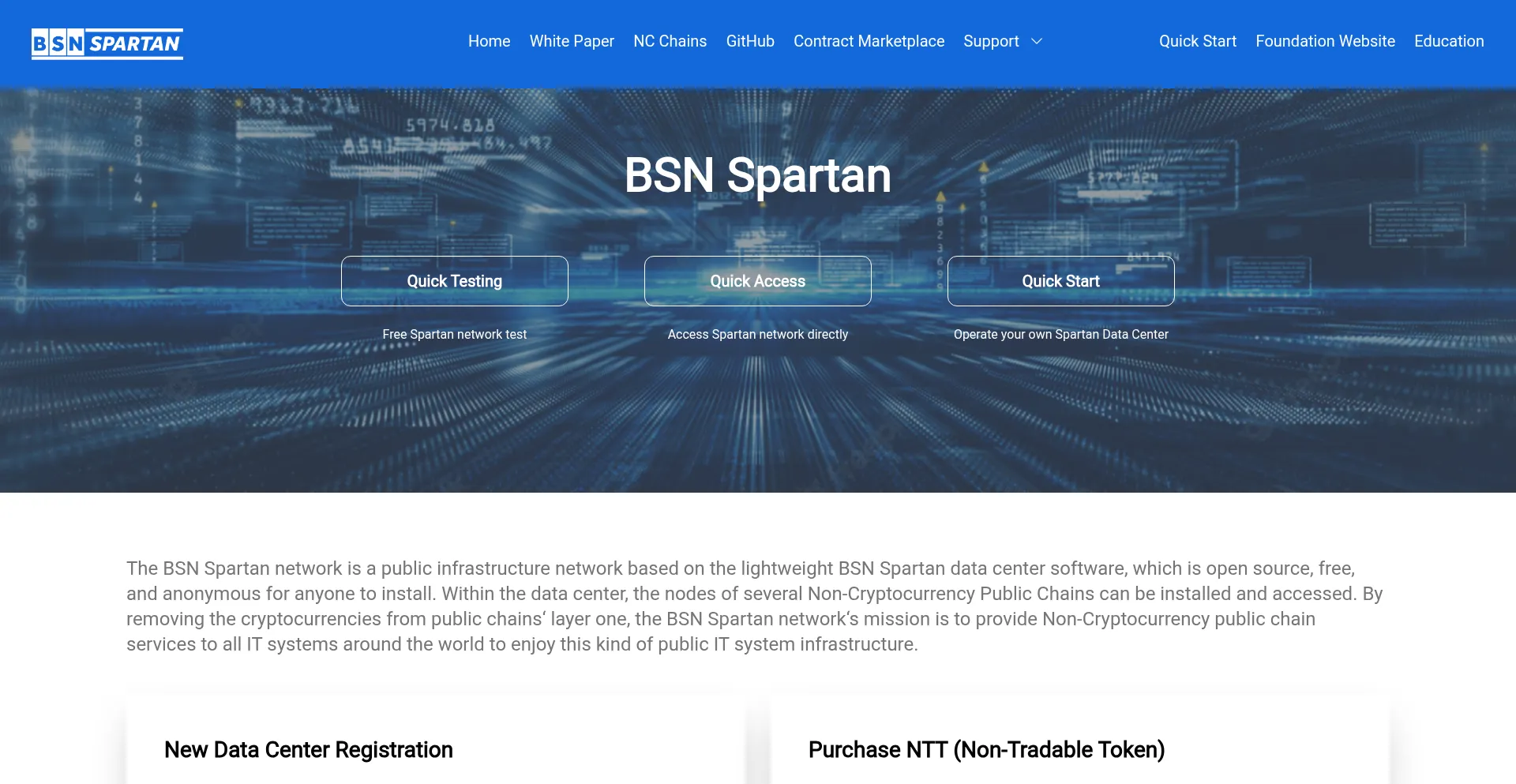 Website screenshot of Bsn.foundation